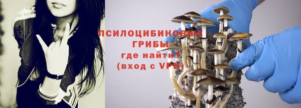 прущая мука Иннополис