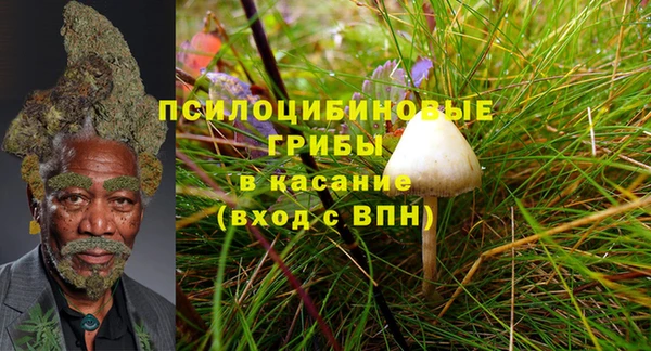 прущая мука Иннополис