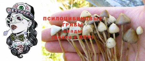 каннабис Инта