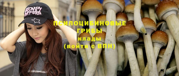 каннабис Инта