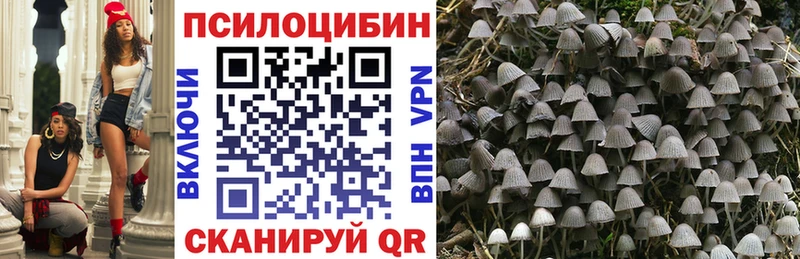 Галлюциногенные грибы Psilocybe Зарайск