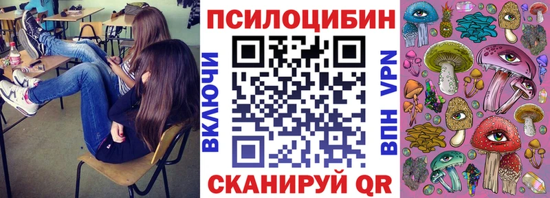 Купить закладки  Зарайск  Псилоцибиновые грибы Psilocybe 